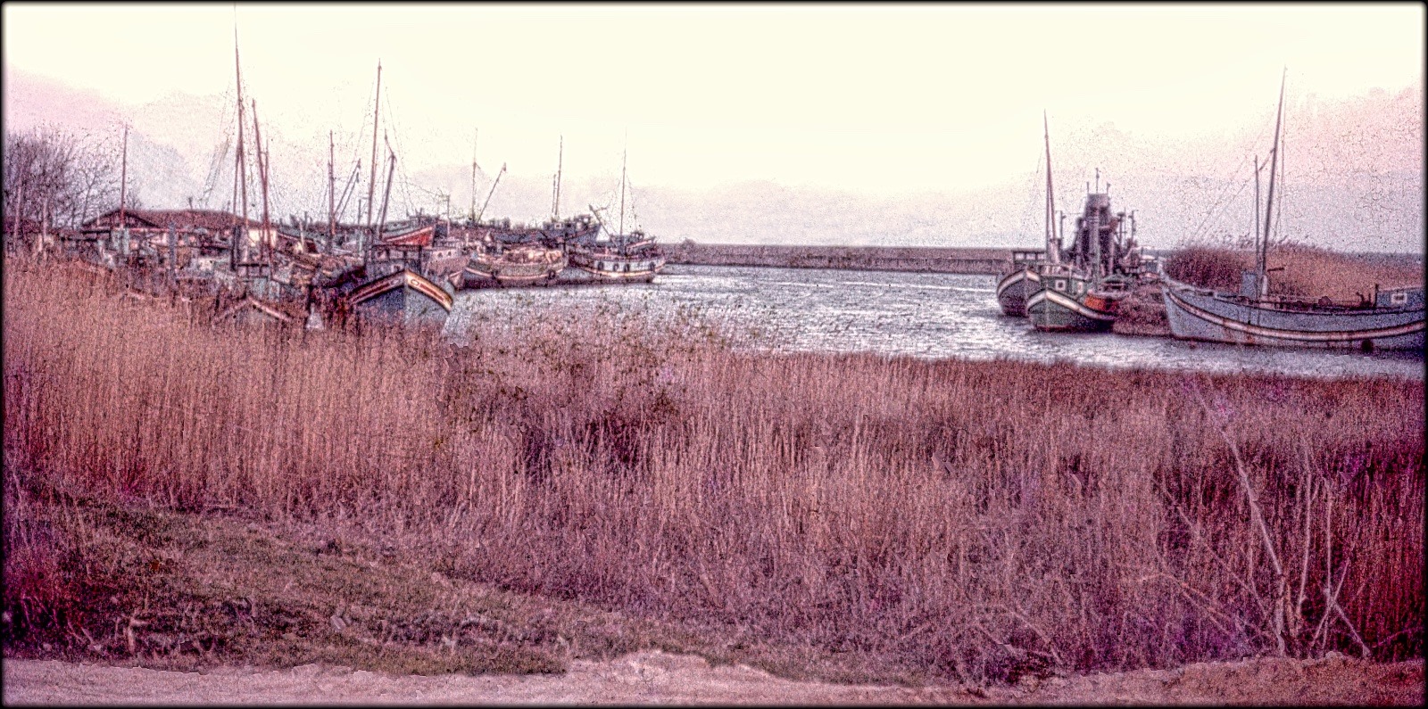 1970  YILINDA YALOVA DEREAĞZI