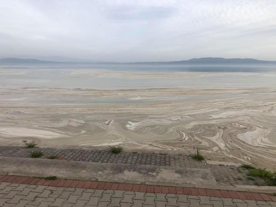 ARMUTLU SAHİLLERİNDE DENİZ SALYASI YOĞUNLAŞTI