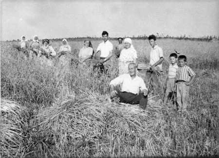 1962 YILINDA SUBAŞINDA HASAT ZAMANI