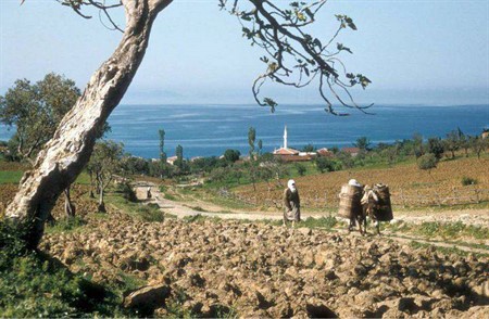 1955 YILINDA AKKÖY KORUKÖY YOLU