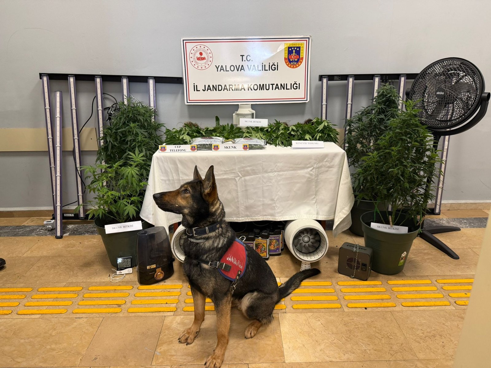 JANDARMADAN UYUŞTURUCU OPERASYONU