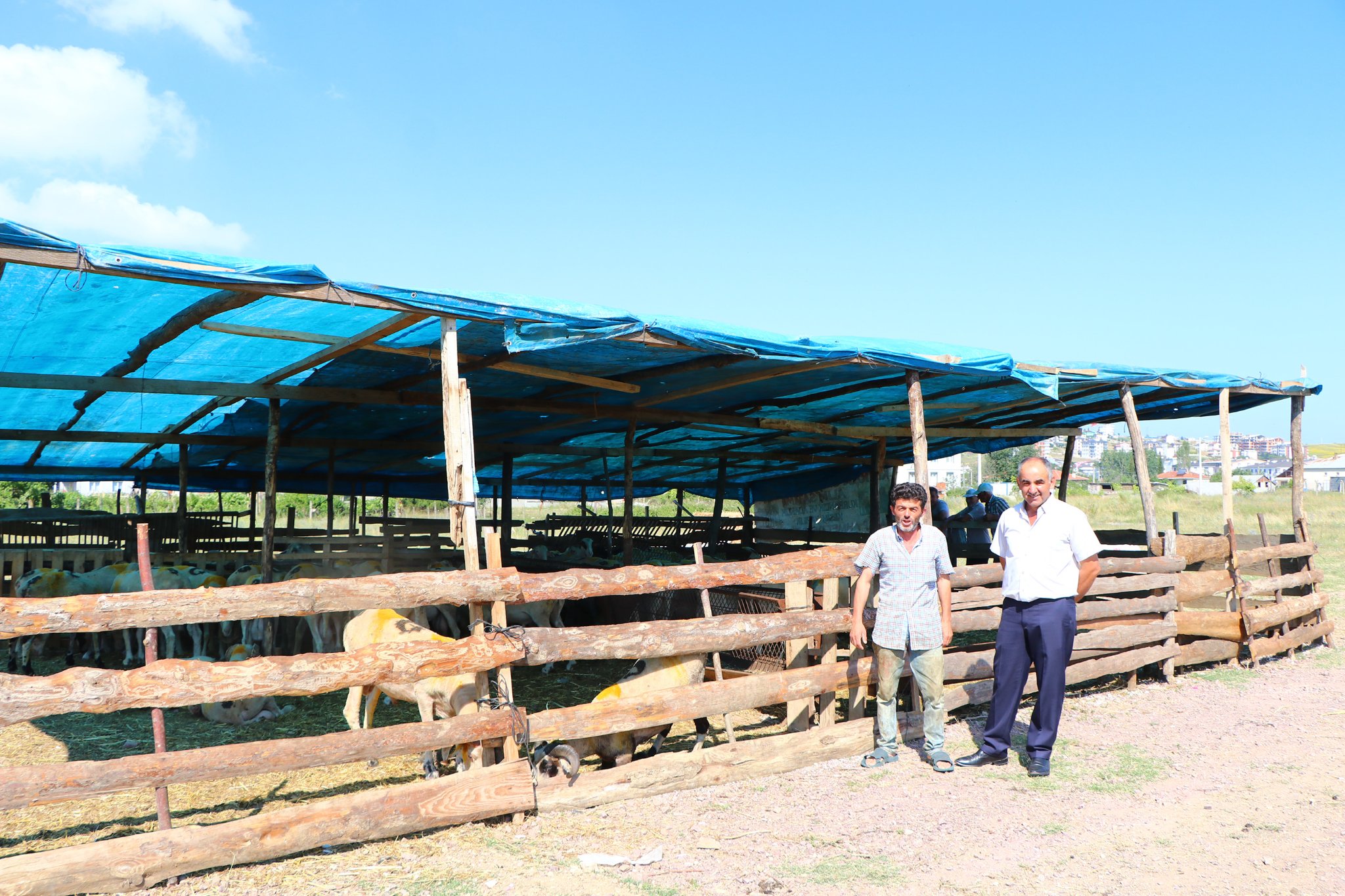 ÇİFTLİKKÖY KURBAN PAZARI BAYRAMA HAZIR