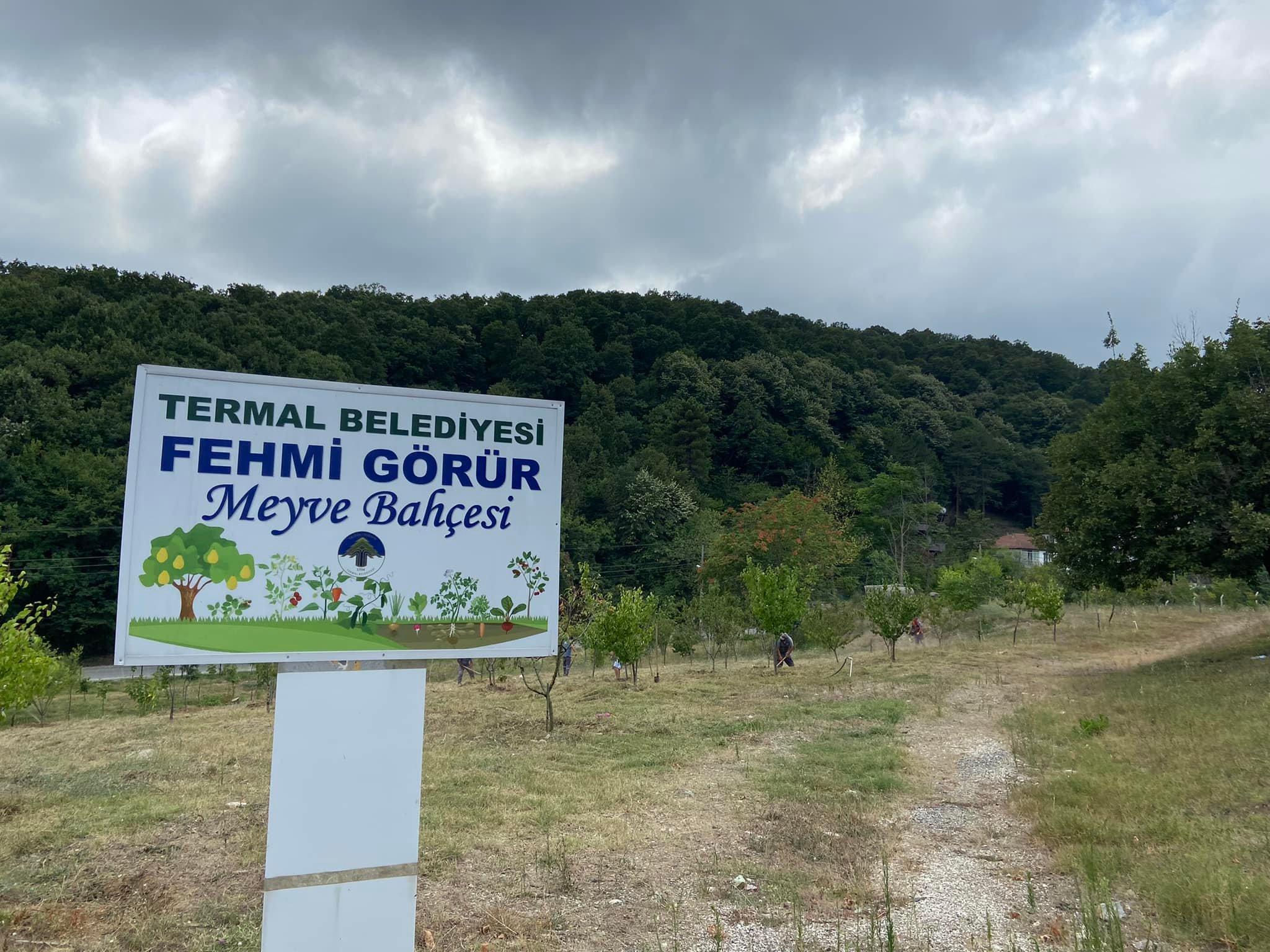 TERMAL'DE HALKA AÇIK MEYVE BAHÇESİ  