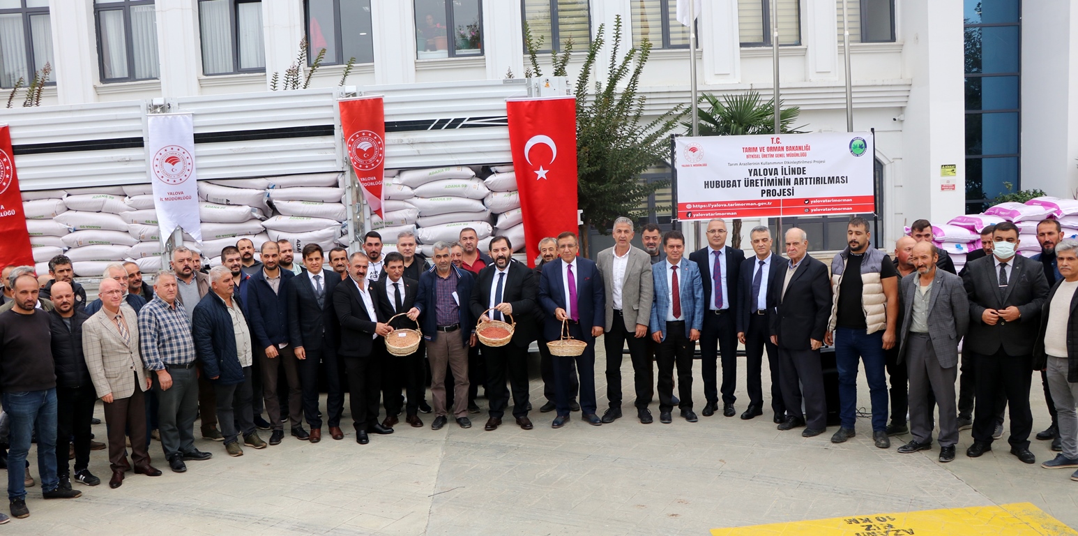 ÇİFTÇİLERE 135  TON TOHUM DAĞITILDI