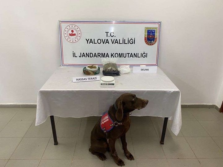 TERMAL’DE UYUŞTURUCU OPERASYONU