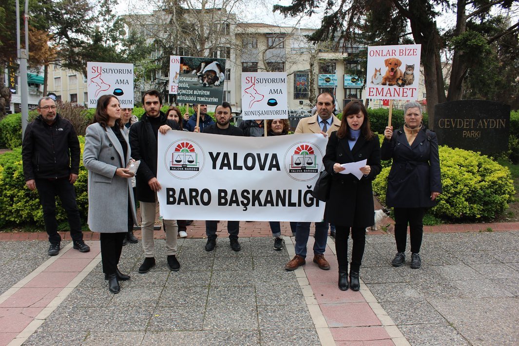 YALOVA BAROSUNDAN FARKINDALIK