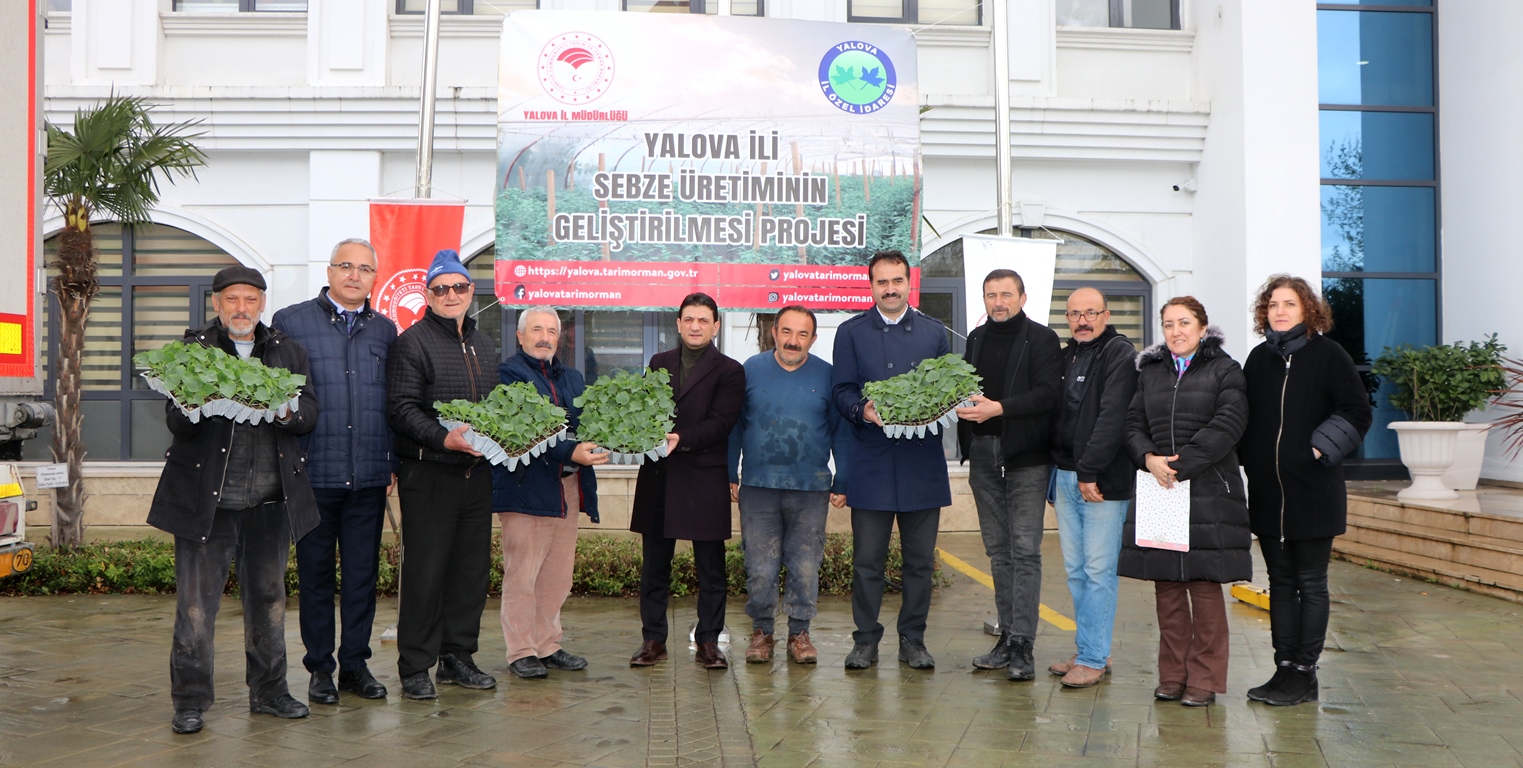 YALOVALI ÜRETİCİLERE FİDE DAĞITIMI