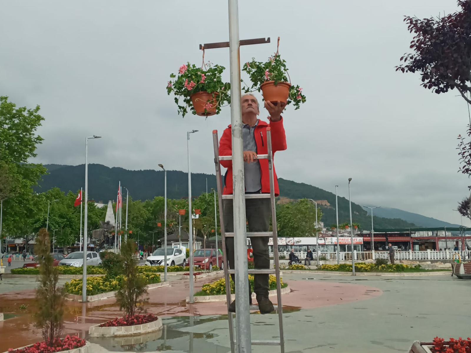 ÇINARCIK'DA  LAMBALAR ÇİÇEK AÇIYOR