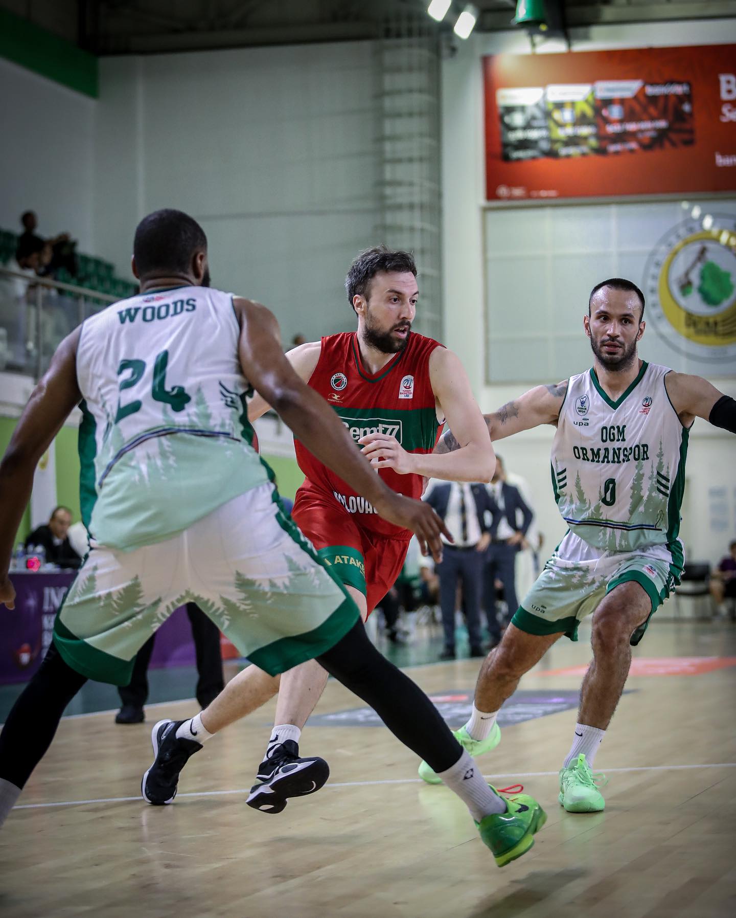 OGM ORMAN 84 YALOVA 101