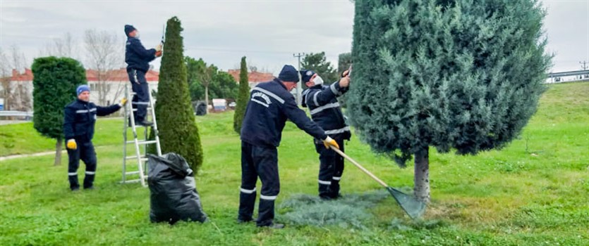 ÇİFTLİKKÖY'DE PARK VE YEŞİL ALANLARA KIŞ BAKIMINI YAPIYOR