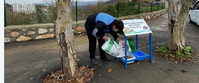 TERMAL'DE SOKAK HAYVANLARI İÇİN BESLENME NOKTALARI