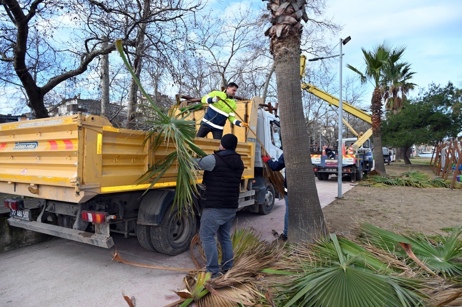 GAZİ PAŞA CADDESİ’NDE BUDAMA ÇALIŞMASI