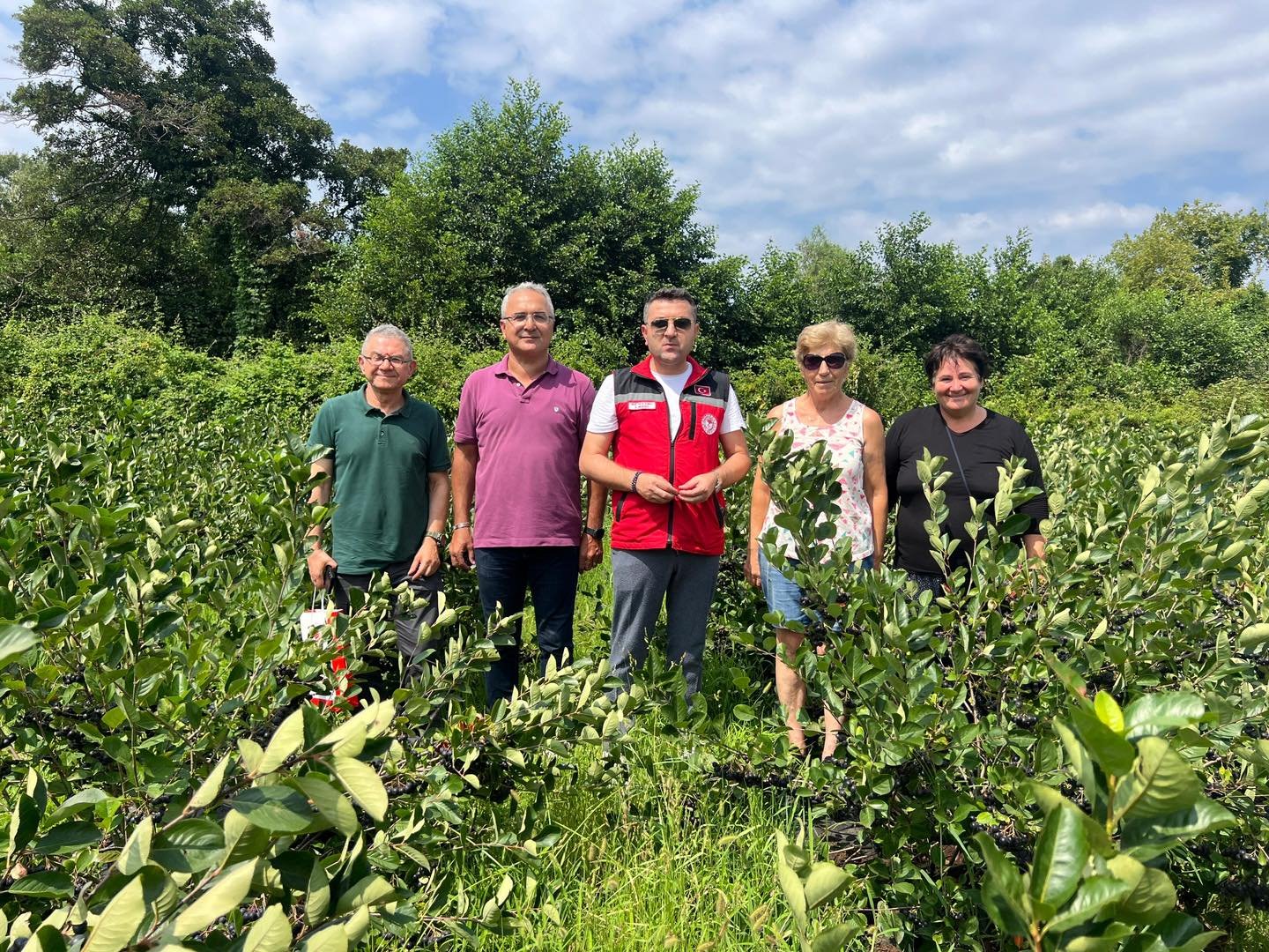 YALOVA ARONYASI HASATA HAZIRLANIYOR