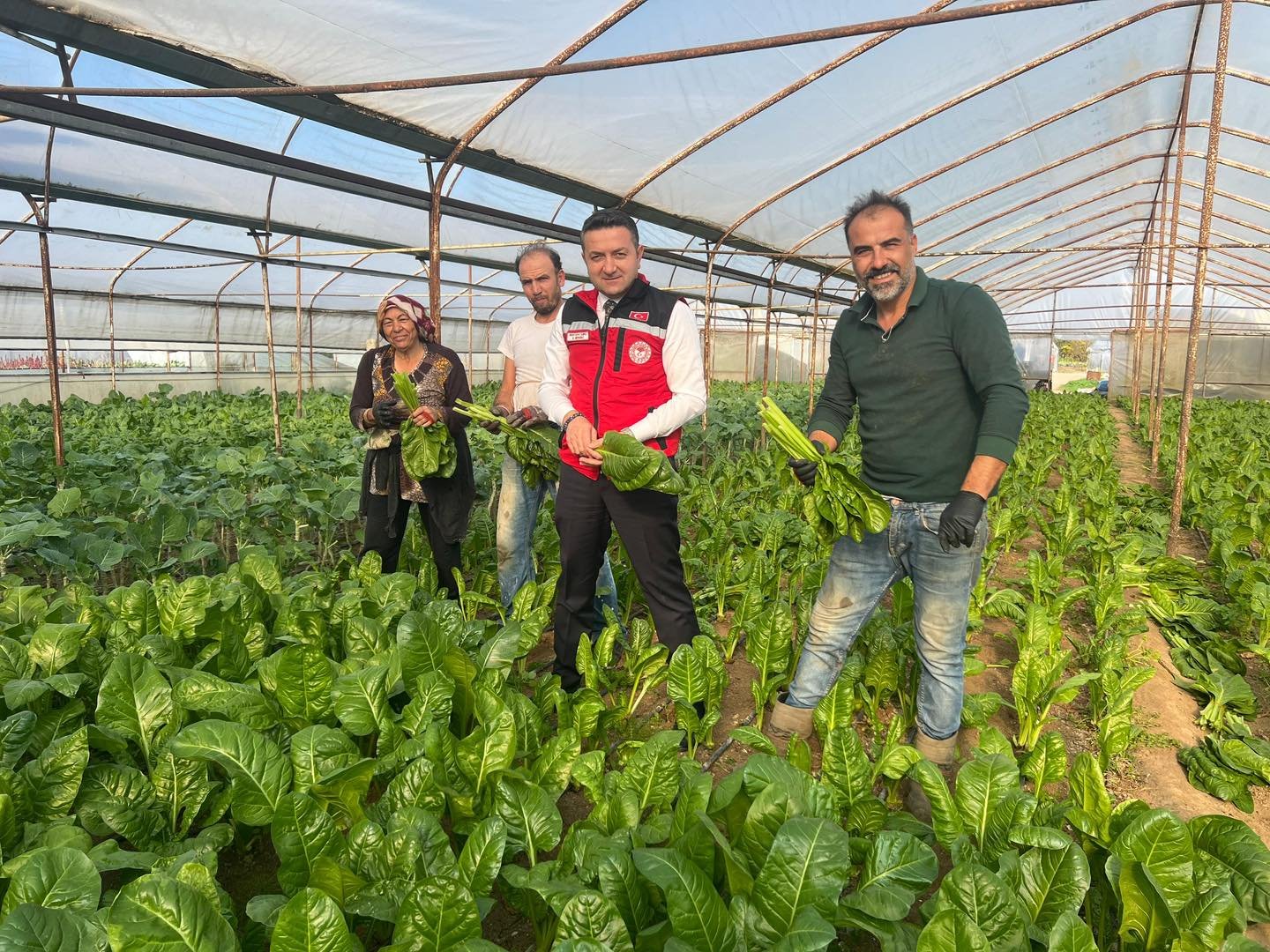 KADIKÖYLÜ ÜRETİCİLERE SERA ZİYARETİ