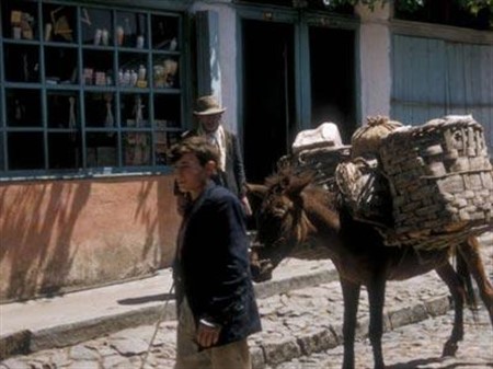 1956 YILINDA ÇINARCIK KÖY İÇİ ESNAFLARI