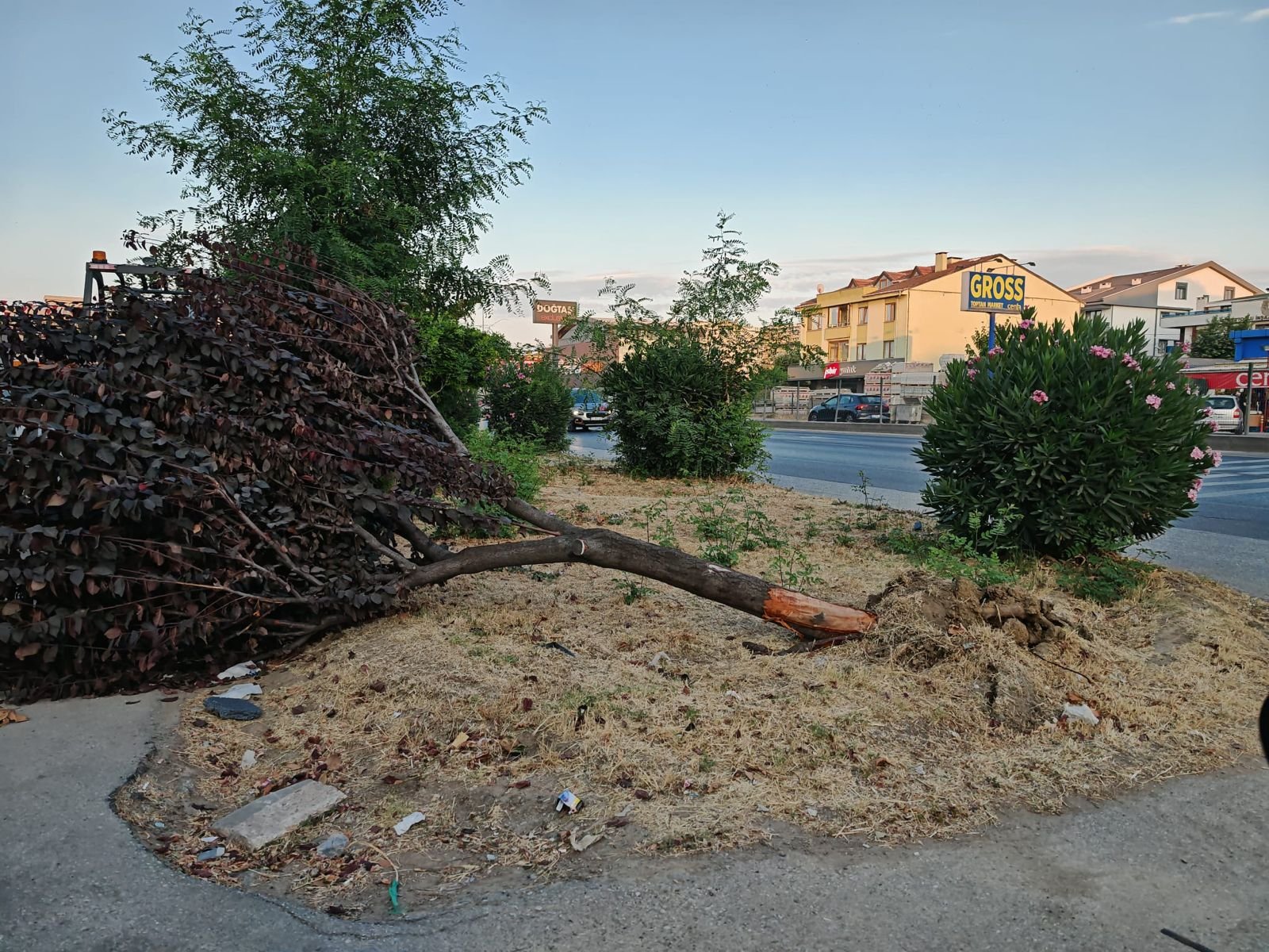  ÇİFTLİKKÖY'DEKİ PARKLARA SALDIRI