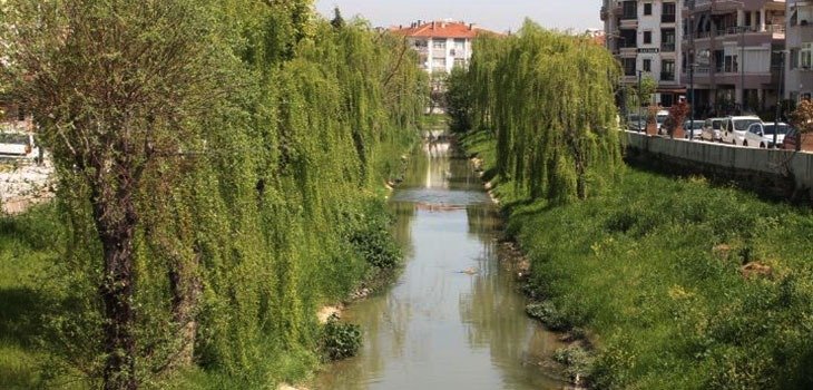  SAFRAN DERESİNDE İLK BAHAR....