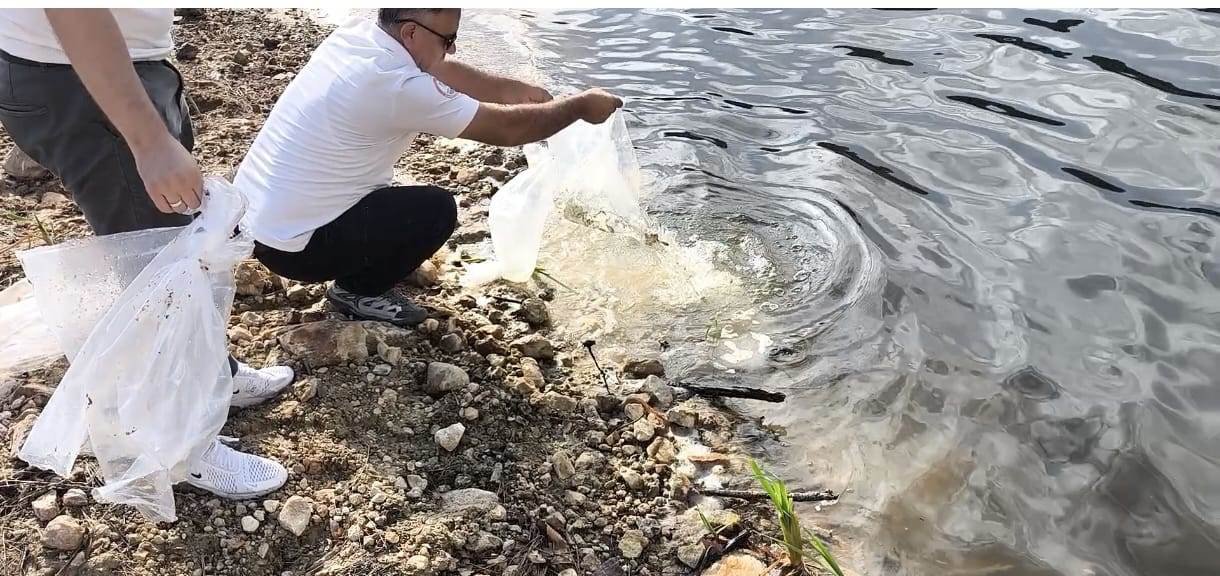 GÖLETLERE 180 BİN YAVRU BALIK BIRAKILDI