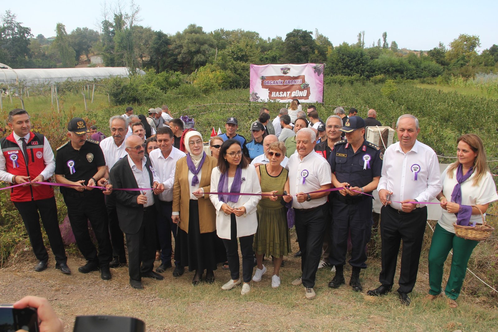 ORTABURUN KÖYÜNDE ARONYA HASADI