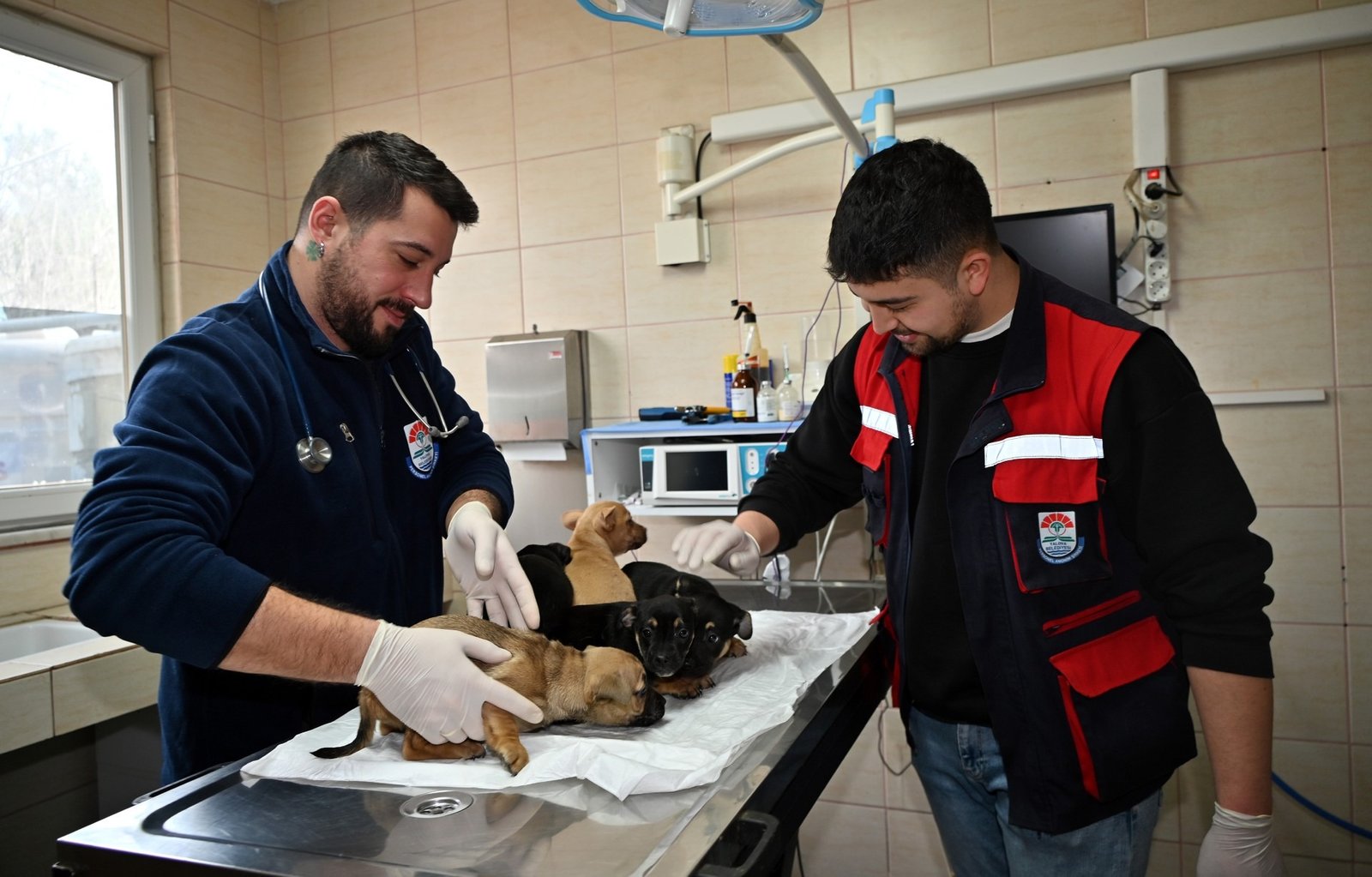 SAHİPSİZ YAVRULARA ŞEFKAT ELİ