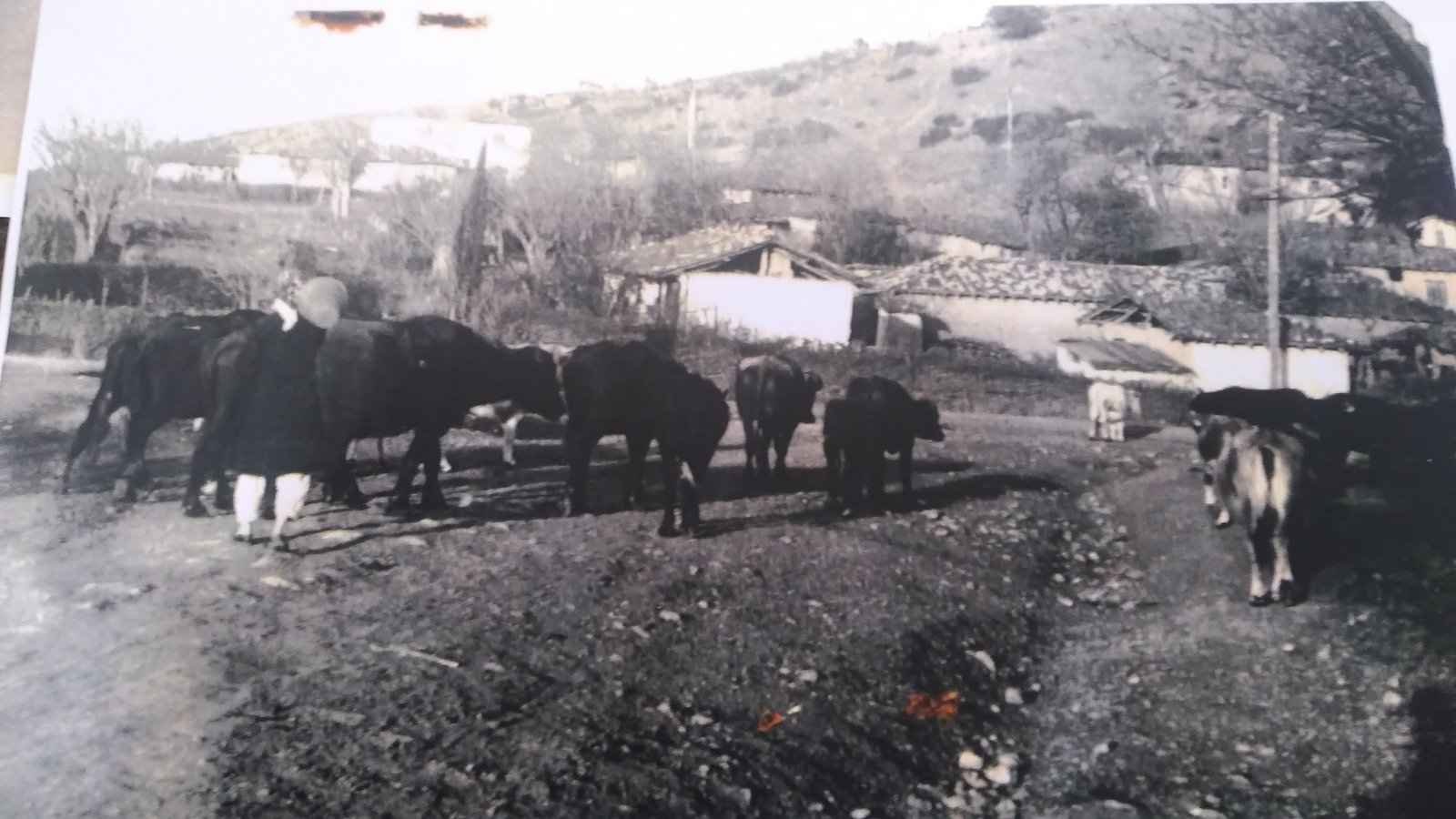 1970 YILINDA YALOVA KABAKLI KÖYÜ