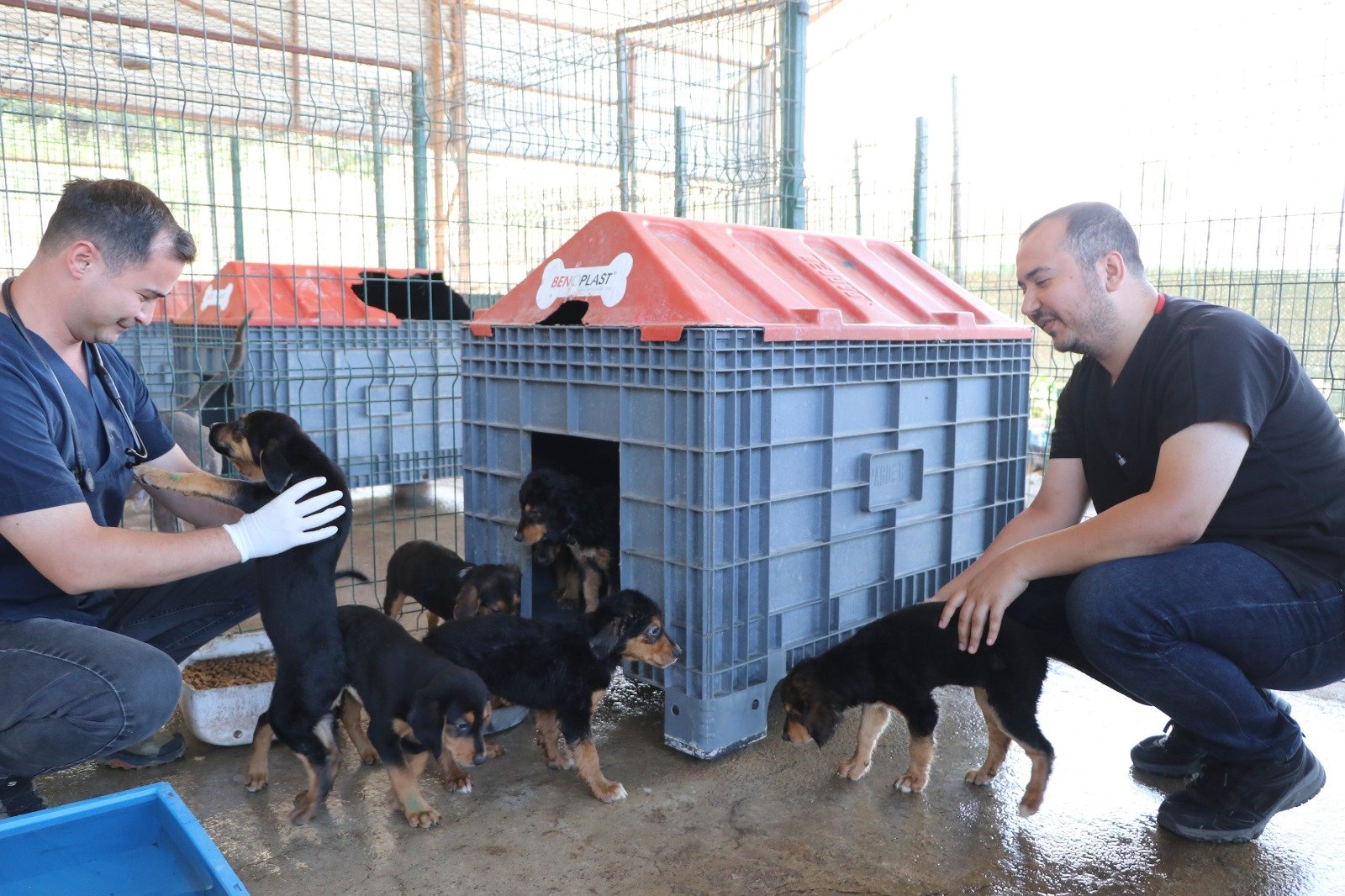 ÇİFTLİKKÖY’DE PATİLİ DOSTLARA İLGİ