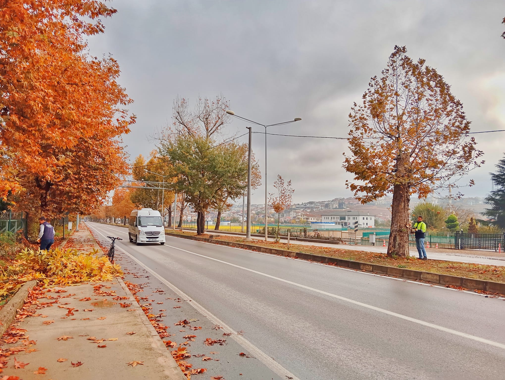 YALOVA’DA YAPRAK TOPLAMA MESAİSİ