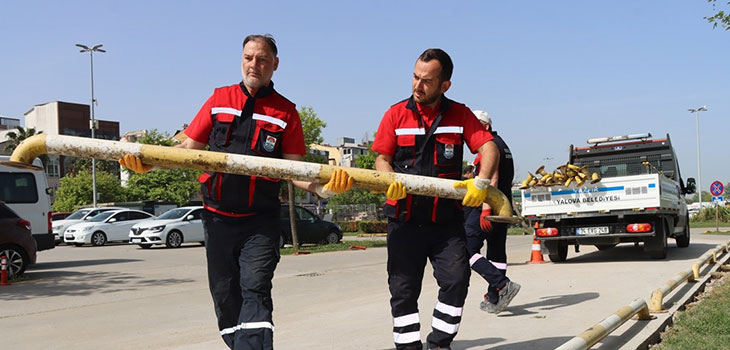 ULAŞIM MÜDÜRLÜĞÜNDEN YENİ ÇALIŞMALAR