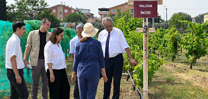 VALİ AKILLI TARIM UYGULAMASINI İNCELEDİ