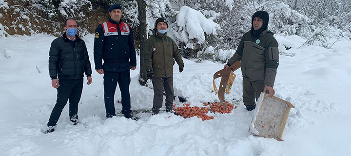 VALİ EROL YEMLEME ÇALIŞMASINA KATILDI