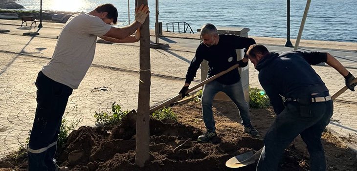 ARMUTLU SAHİLİNDE AĞAÇ DİKİMİ