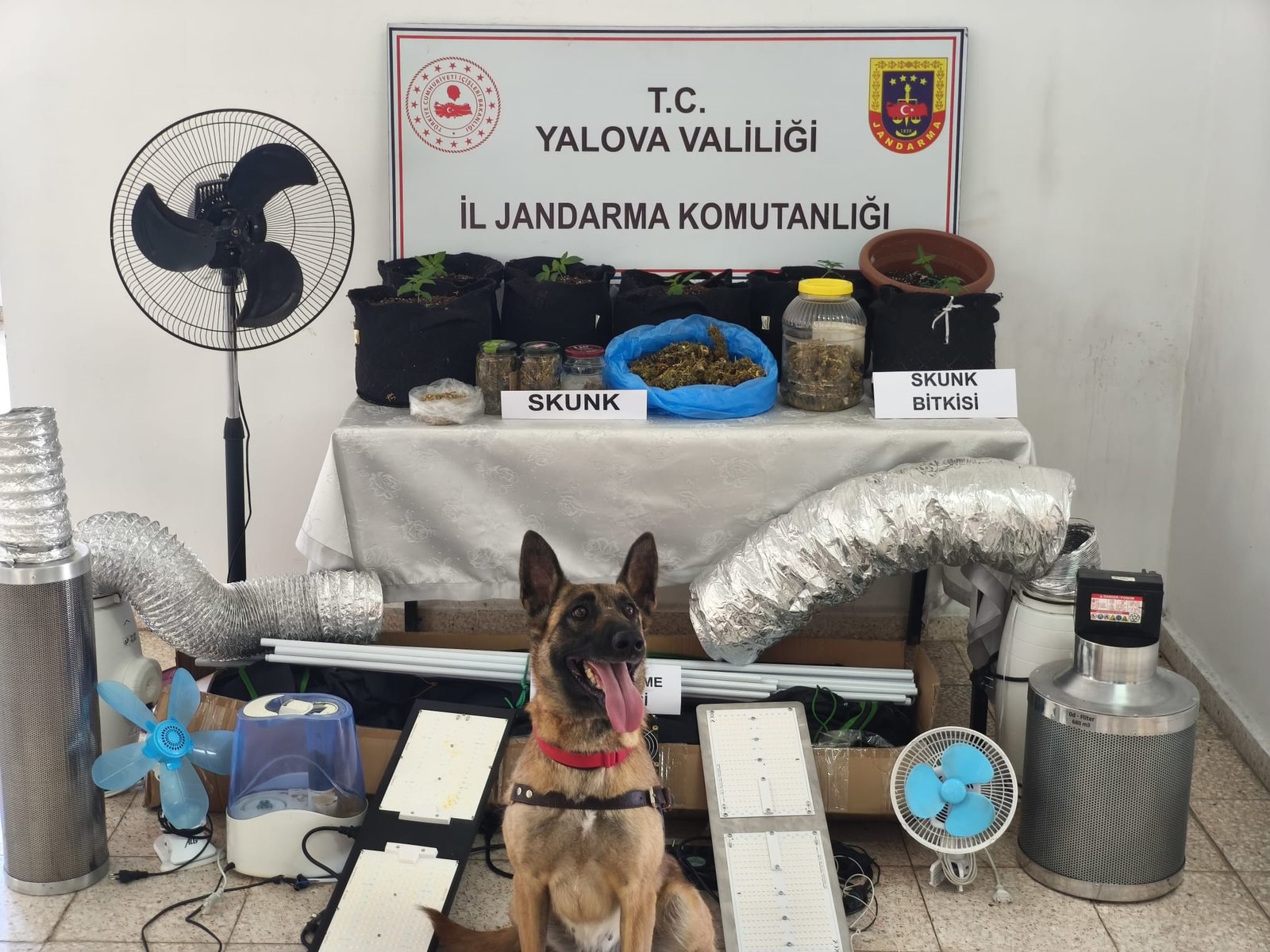 EVDE KURULAN DÜZENEKLE SUÇ ÜSTÜ