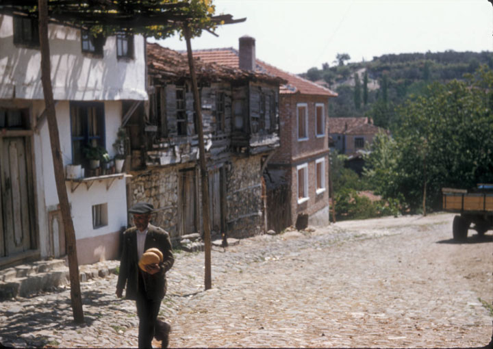 1956 YILINDA ÇINARCIK KÖY İÇİ CADDESİ