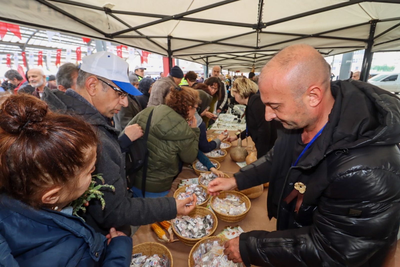 YALOVA TOHUM TAKAS ŞENLİĞİNE YOĞUN İLGİ