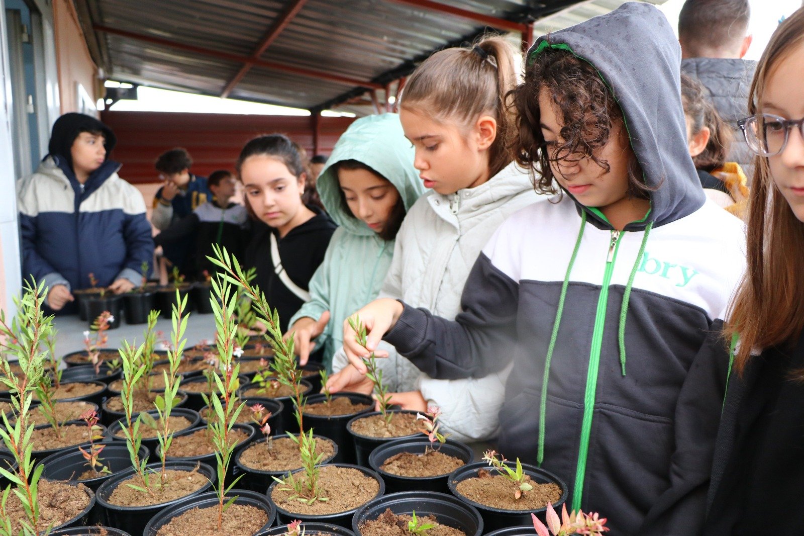 ÇİFTLİKKÖY'DE ÖĞRENCİLER FİDAN DİKTİLER