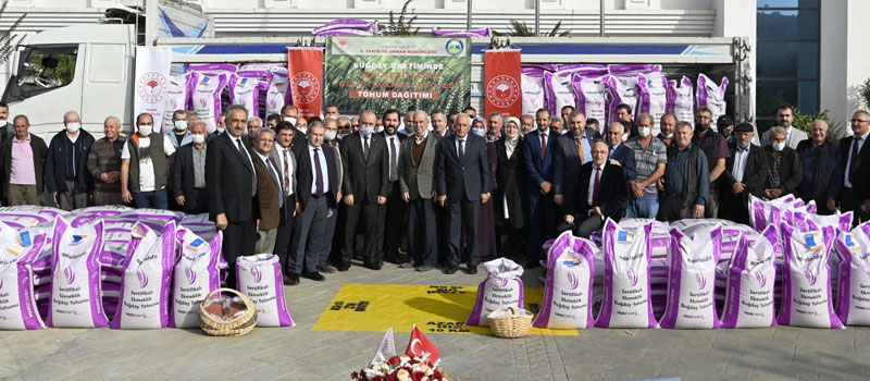 ÇİFTÇİLERE 40 TON BUĞDAY TOHUMU 