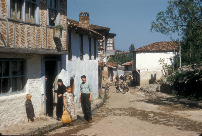 1956 YILINDA ÇINARCIK KÖY İÇİ CADDESİ