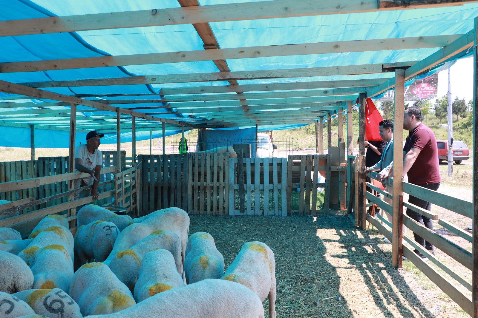 ÇİFTLİKKÖY’DE KURBAN PAZARI HAZIR 