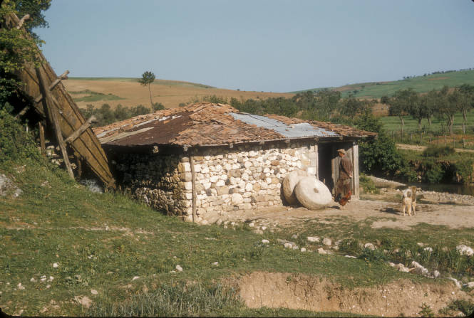 1955 YILINDA AKKÖY'LÜ İBO'NUN DEĞİRMENİ