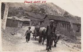 1950 YILINDA YALOVA ELMALIK KÖYÜ