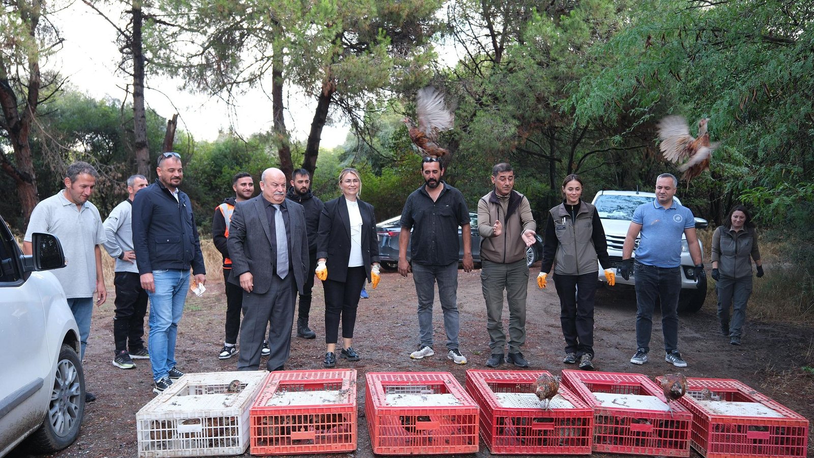 ALTINOVA'DA 200 SÜLÜN DOĞAYA BIRAKILDI