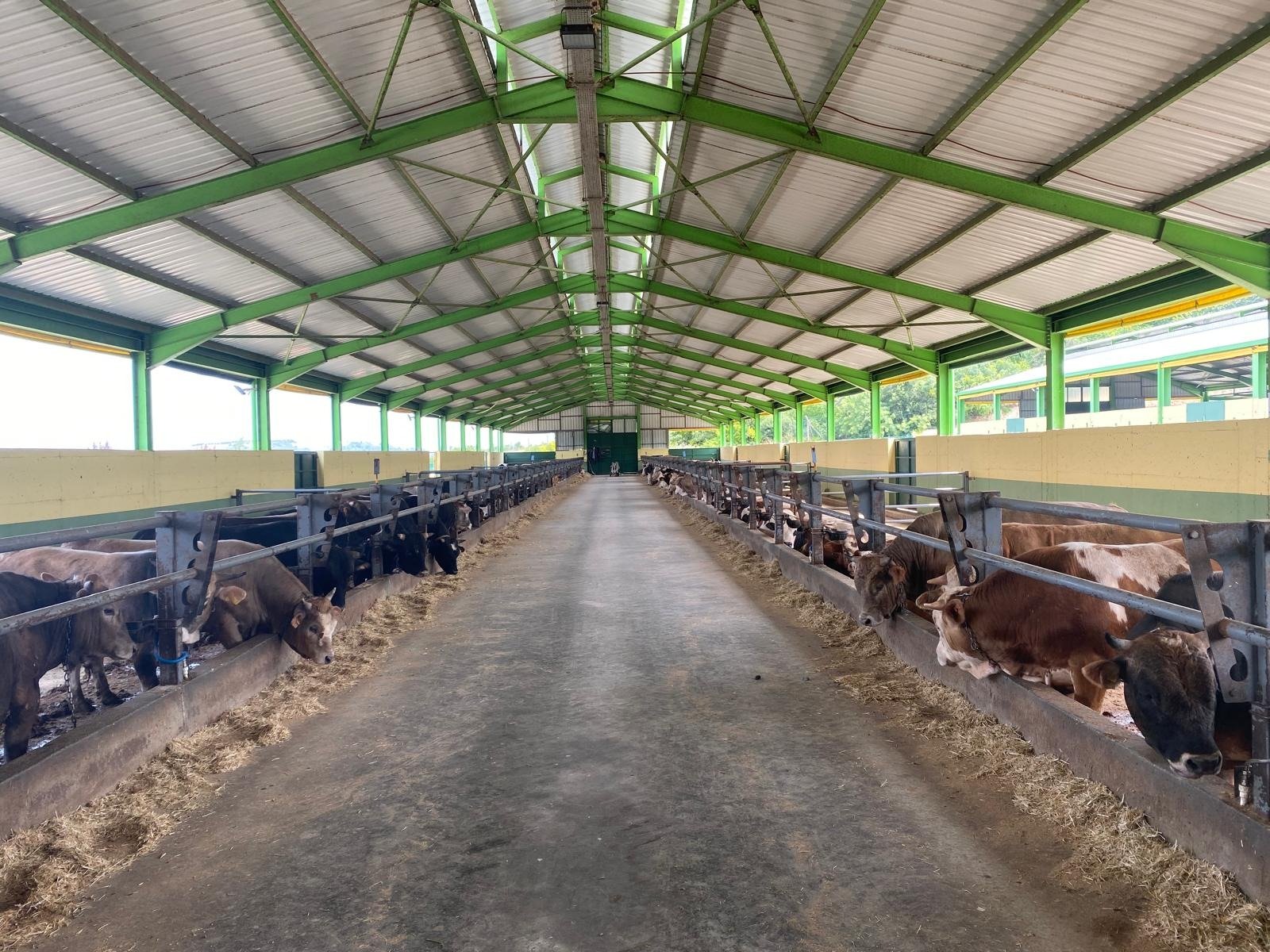 GÜLEÇ KARDEŞLER’DE KURBANLIK SATIŞLARI 29 MART’TA