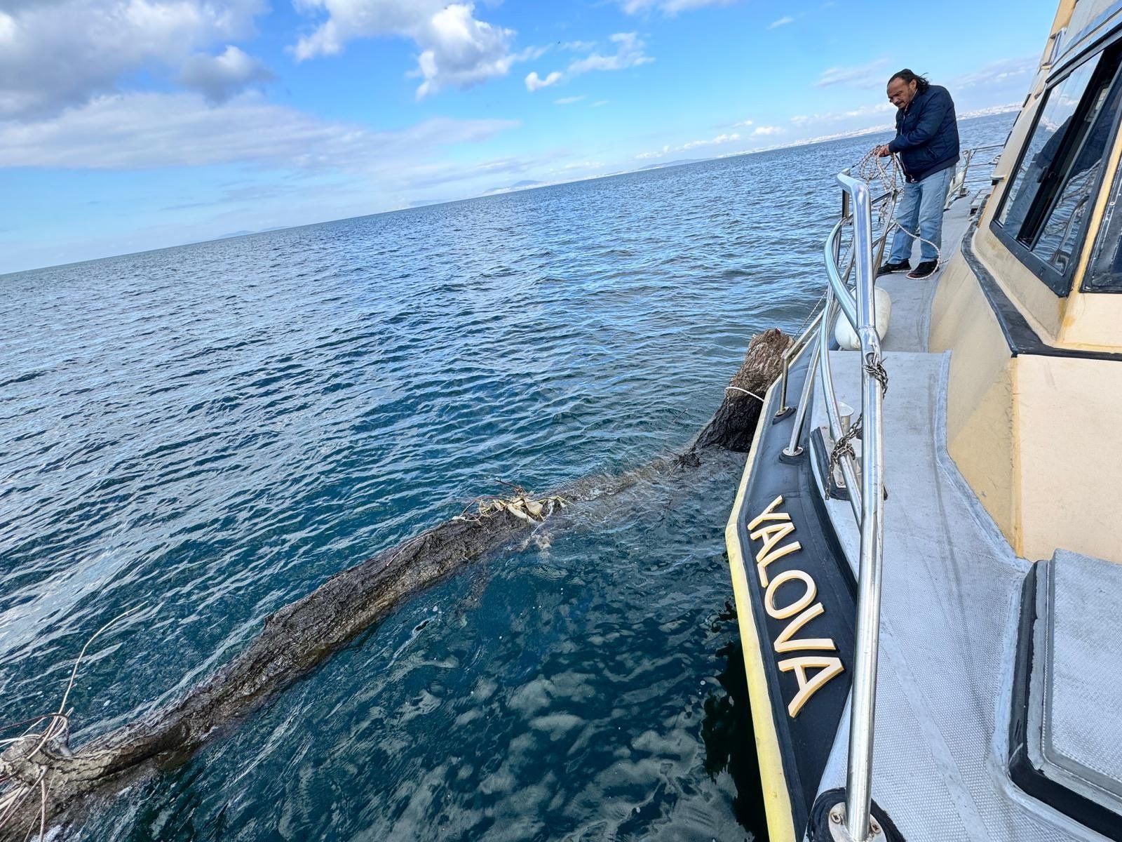 YALOVA SAHİLİ AÇIKLARINDA YÜZEN AĞAÇ...