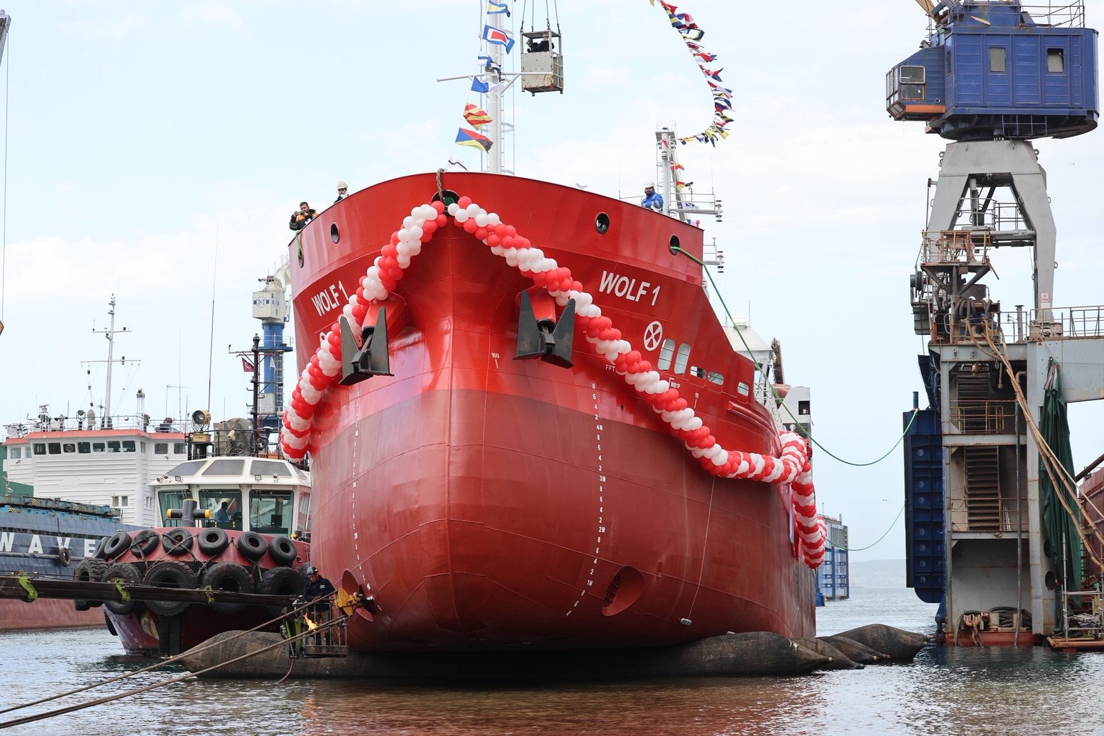 ALTINOVA'DA WOLF 1 SUYLA BULUŞTU