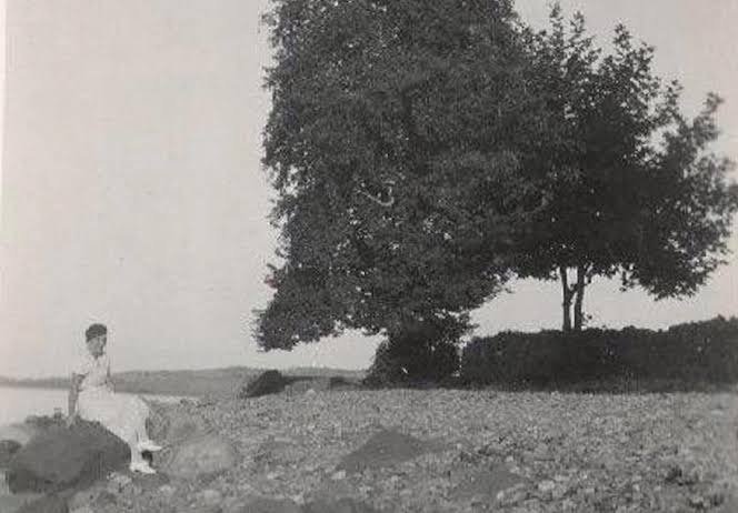 1934 YILINDA ÇINARCIK SAHİLİNDE ULU ÇINAR 