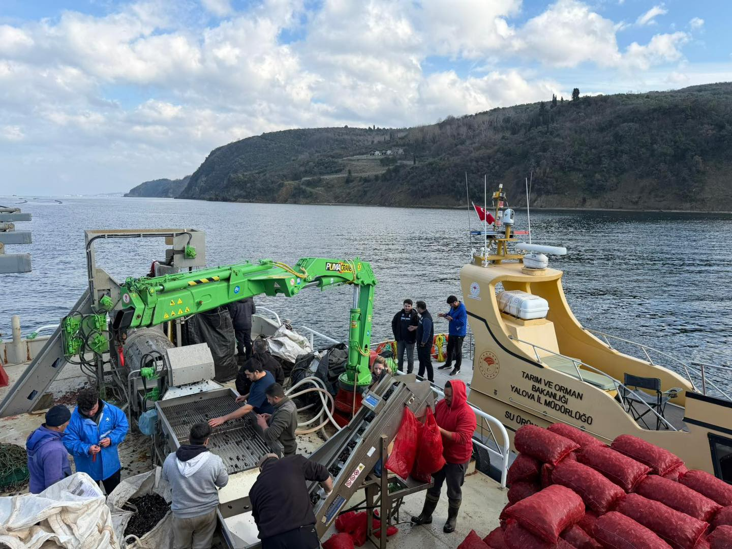 JAPON HEYET, MİDYE ÇİFTLİKLERİNİ İNCELEDİ