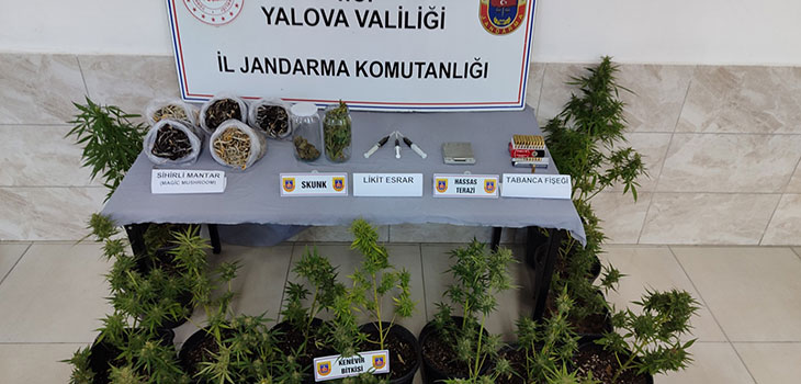 YALOVA JANDARMASINDAN OPERASYON