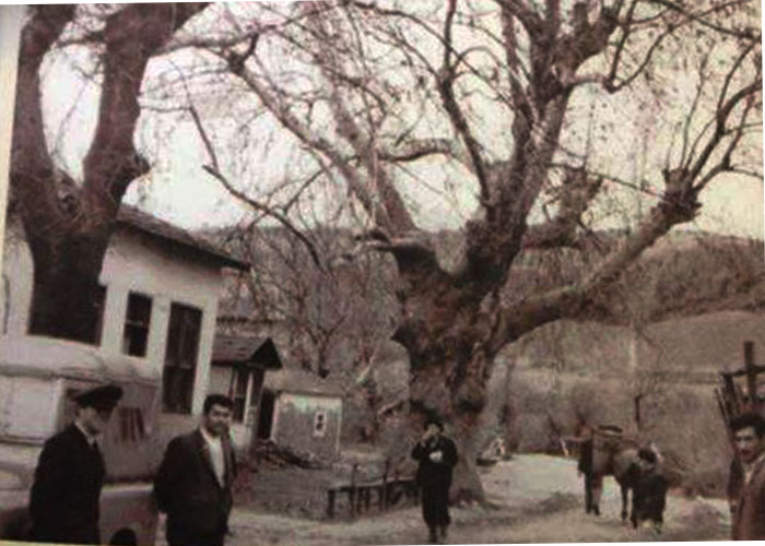 1962 YILINDA ÇINARCIK KOCADERE KÖYÜ 