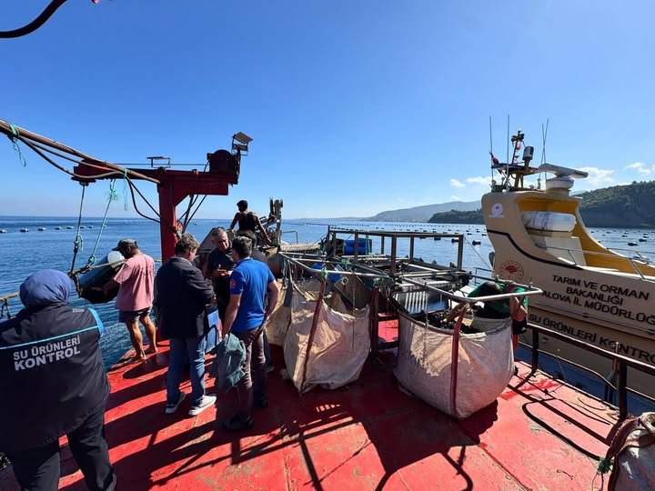 ÇINARCIK MİDYE TESİSLERİNDE İNCELEME