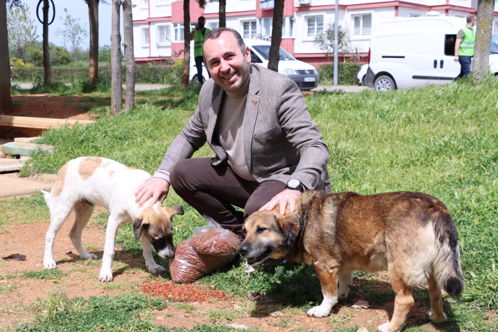 YALOVA BELEDİYESİ SOKAK HAYVANLARINI UNUTMUYOR